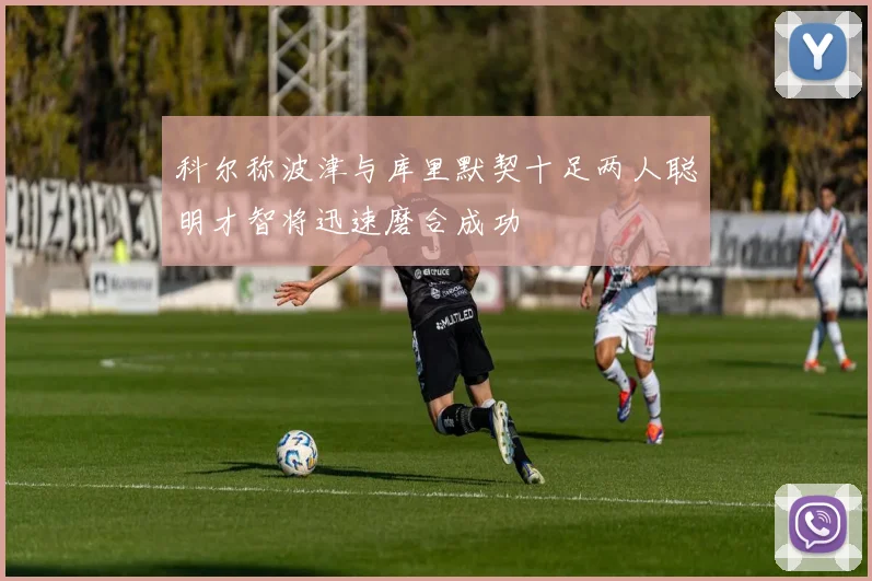 科尔称波津与库里默契十足两人聪明才智将迅速磨合成功